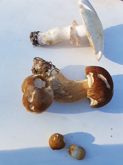 Bingo Prix, Magasin Discount à Cormeilles