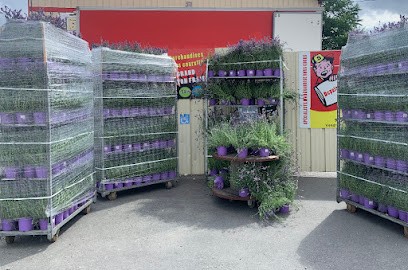 Marché Prix + Anti-gaspi Soukestock DESTOCKAGE ALIMENTAIRE, Magasin Discount à La Chapelle-Saint-Laud